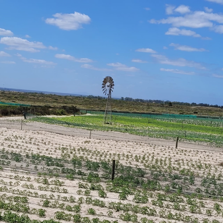 To Let 3 Bedroom Property for Rent in Hartebeesfontein Western Cape
